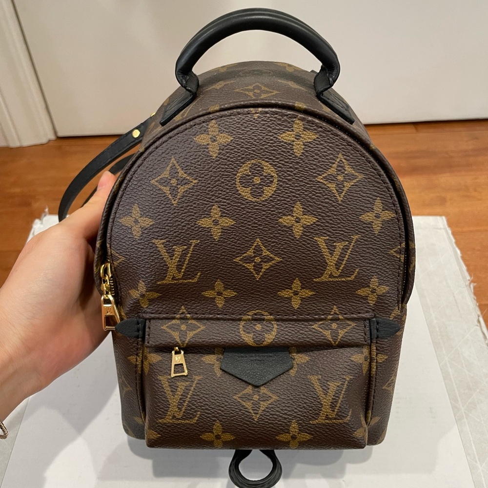 Louis Vuitton Palm Springs Mini